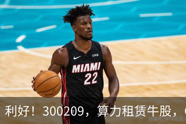 利好！300209，算力租赁牛股，Q3营收大增55倍