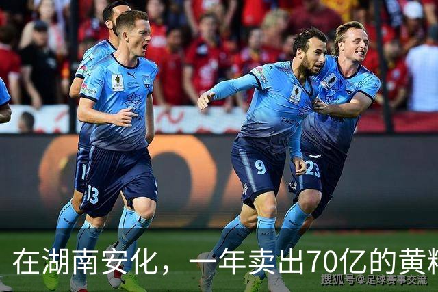在湖南安化，一年卖出70亿的黄精，到底哪些人在买