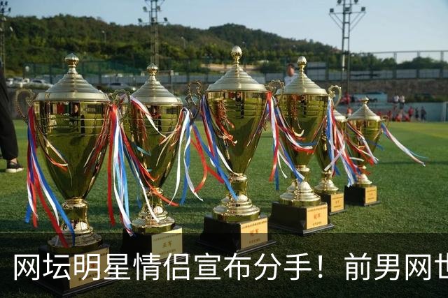 网坛明星情侣宣布分手！前男网世界第三坦言：再也不找网球选手当女友