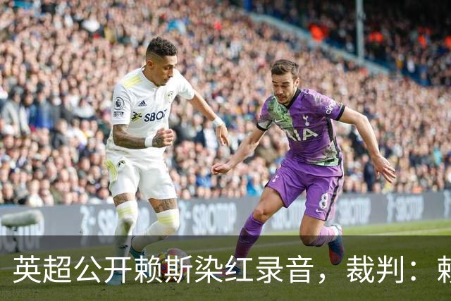 英超公开赖斯染红录音，裁判：赖斯你让我很难做
