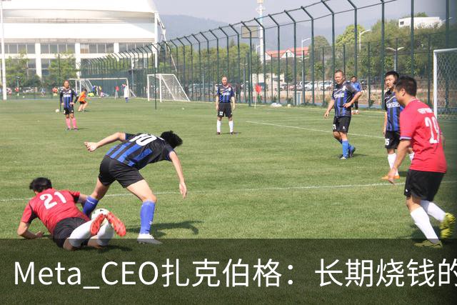Meta CEO扎克伯格：长期烧钱的Muse和Reality Labs终于盈利在望